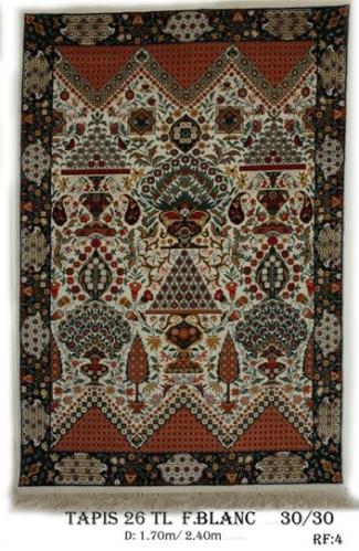 Tapis 26TL fond Rouge Nouée à la main pure laine Tapis 30/30 (90 mille nœuds)